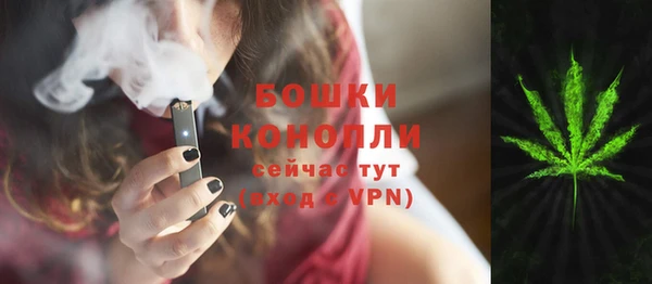 индика Лабытнанги