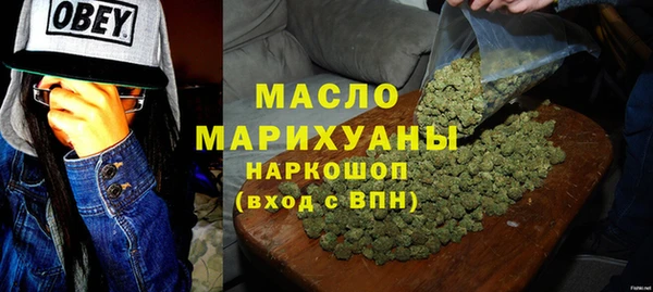 индика Лабытнанги