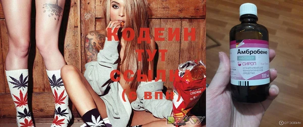крисы Липки
