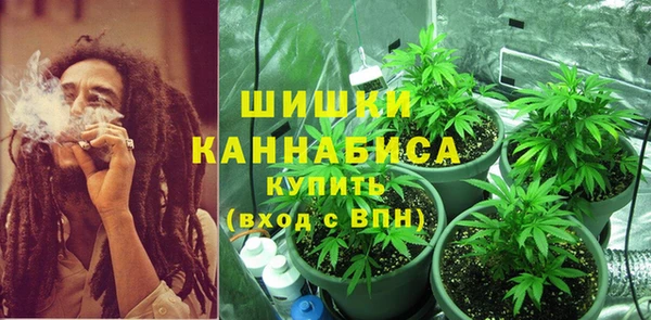 крисы Липки