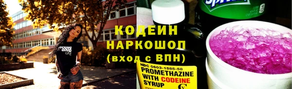 индика Лабытнанги
